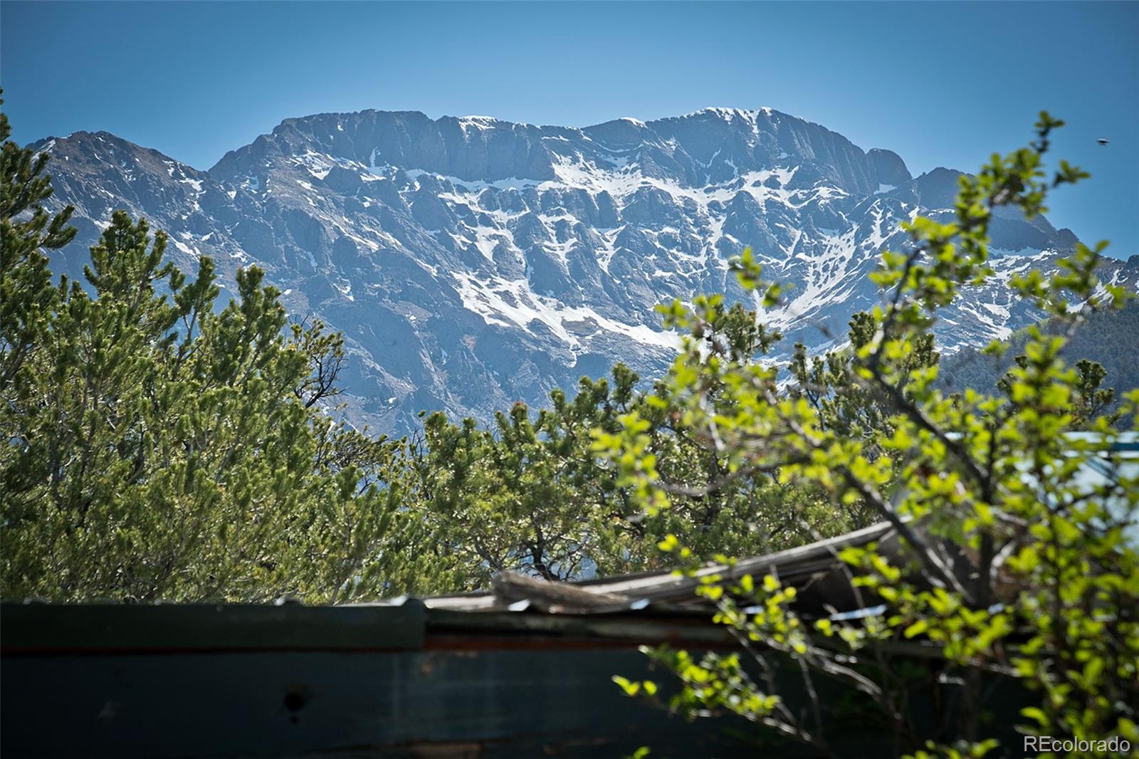 MLS Image #7 for 1376  shady glen ,crestone, Colorado