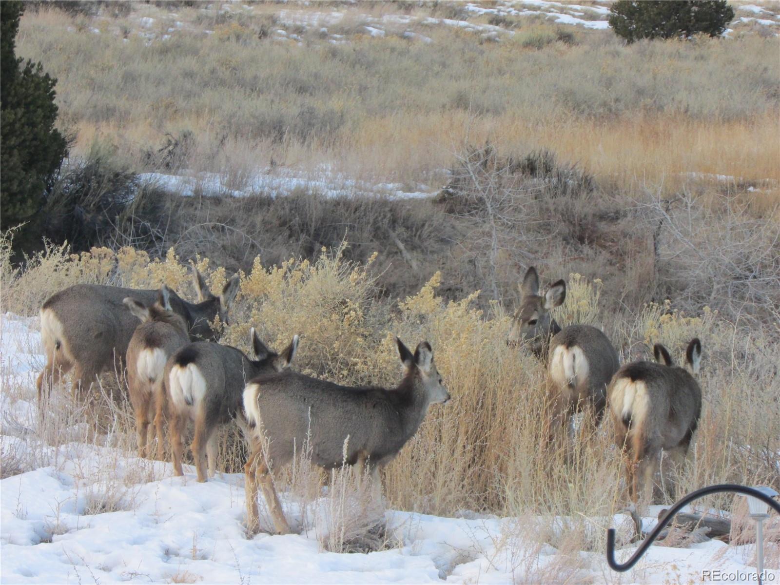 MLS Image #38 for 8960  county road 164 ,salida, Colorado