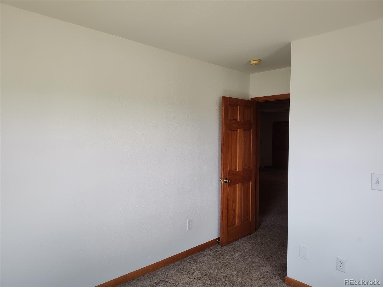 MLS Image #11 for 136 s western bee lane,fairplay, Colorado