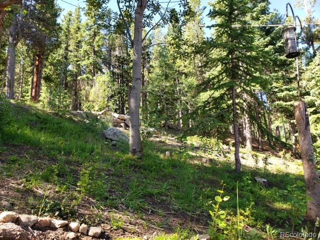 MLS Image #32 for 375  castlewood drive,evergreen, Colorado