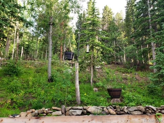 MLS Image #35 for 375  castlewood drive,evergreen, Colorado