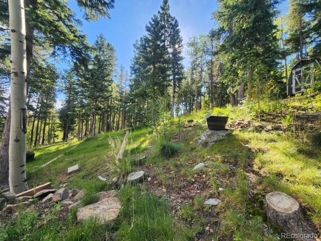 MLS Image #38 for 375  castlewood drive,evergreen, Colorado