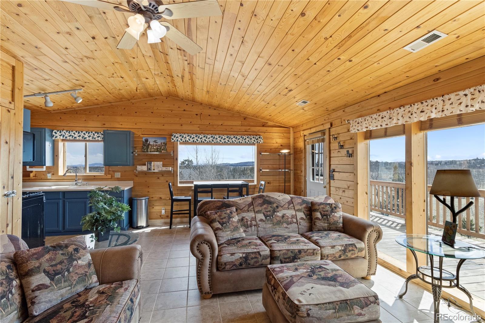 MLS Image #11 for 176  ignacio way,como, Colorado