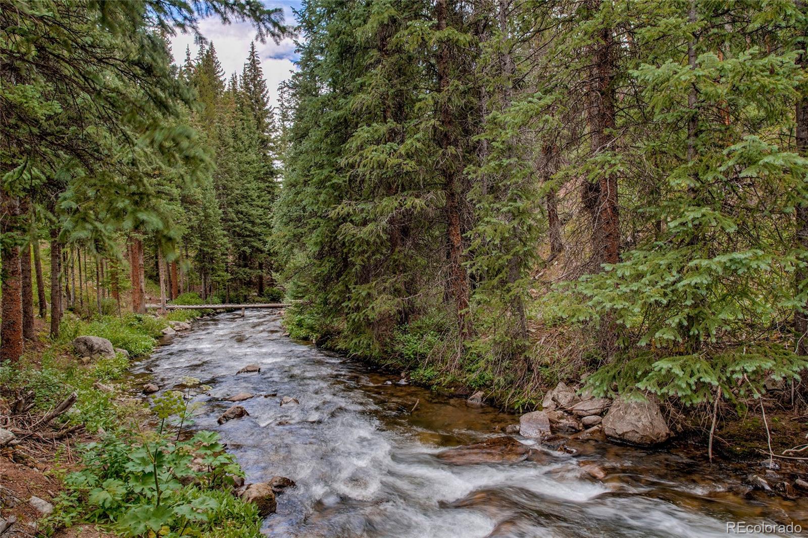 MLS Image #2 for 69  starlit lane,blue river, Colorado