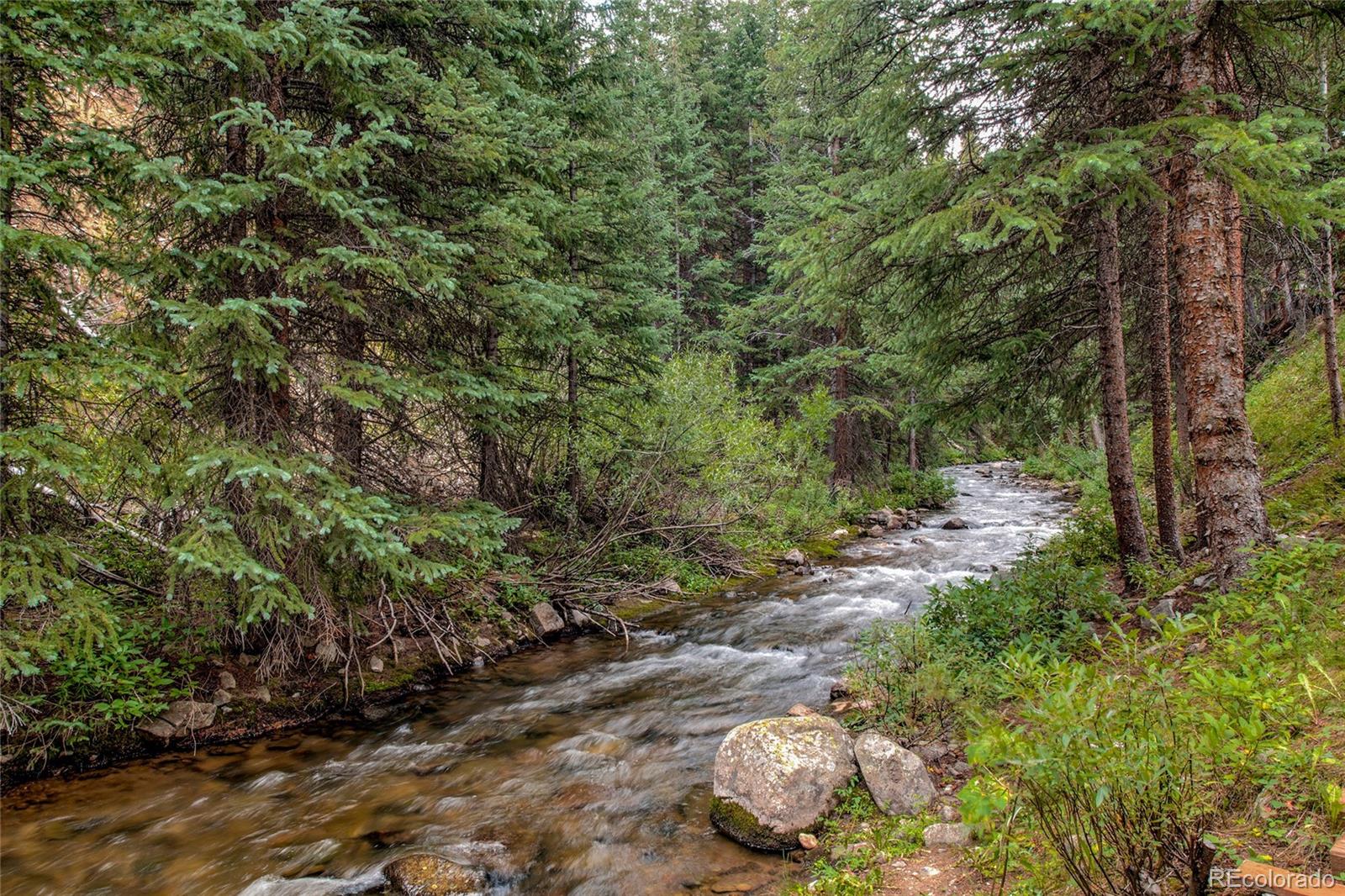 MLS Image #35 for 69  starlit lane,blue river, Colorado