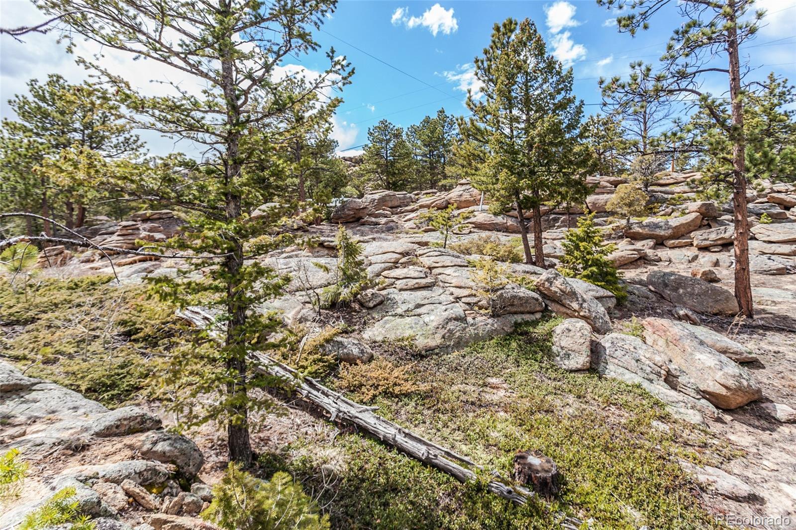 MLS Image #25 for 41  totem pole lane,red feather lakes, Colorado