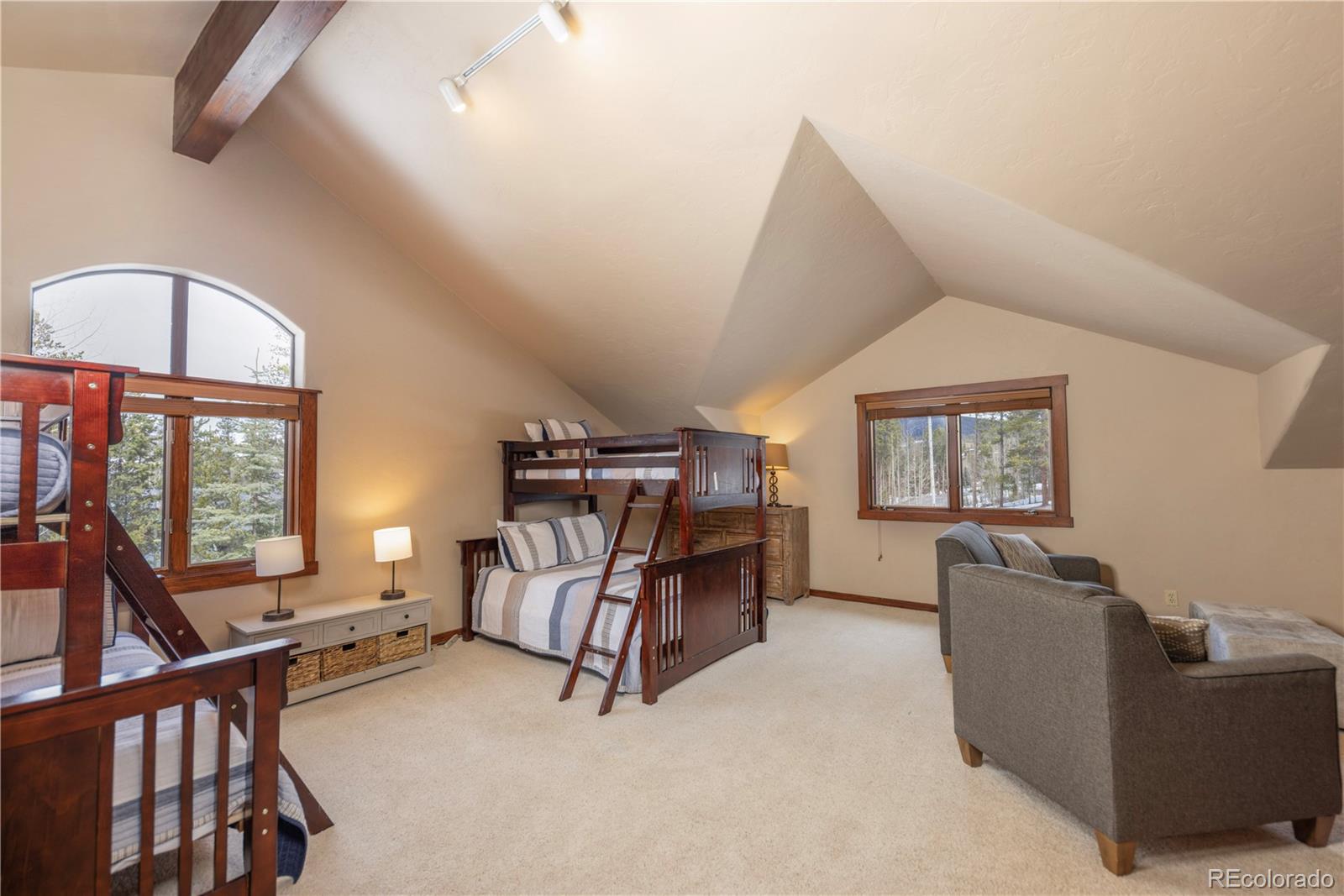 MLS Image #26 for 120  marks lane,breckenridge, Colorado