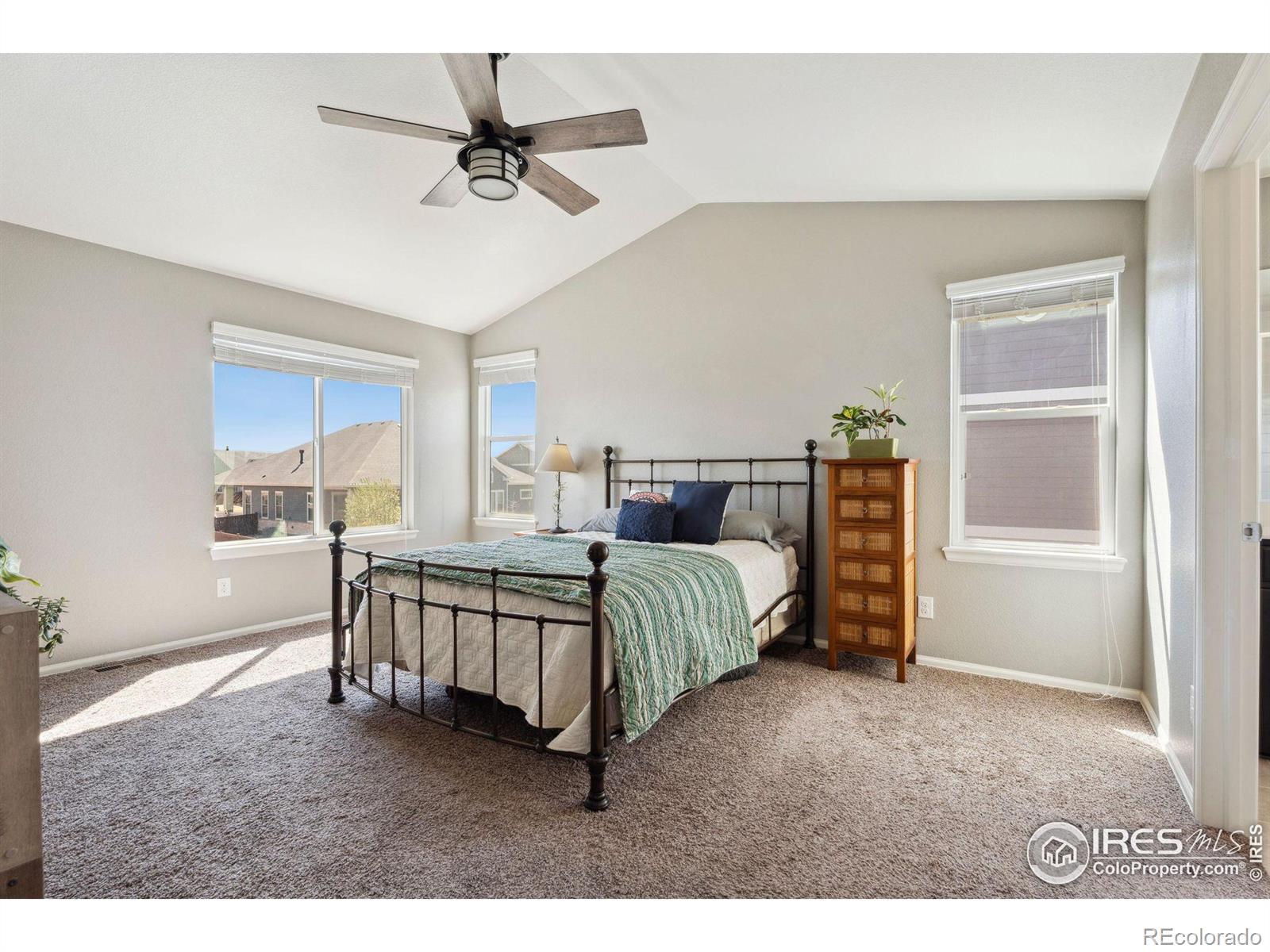 MLS Image #14 for 6139  gannet drive,timnath, Colorado