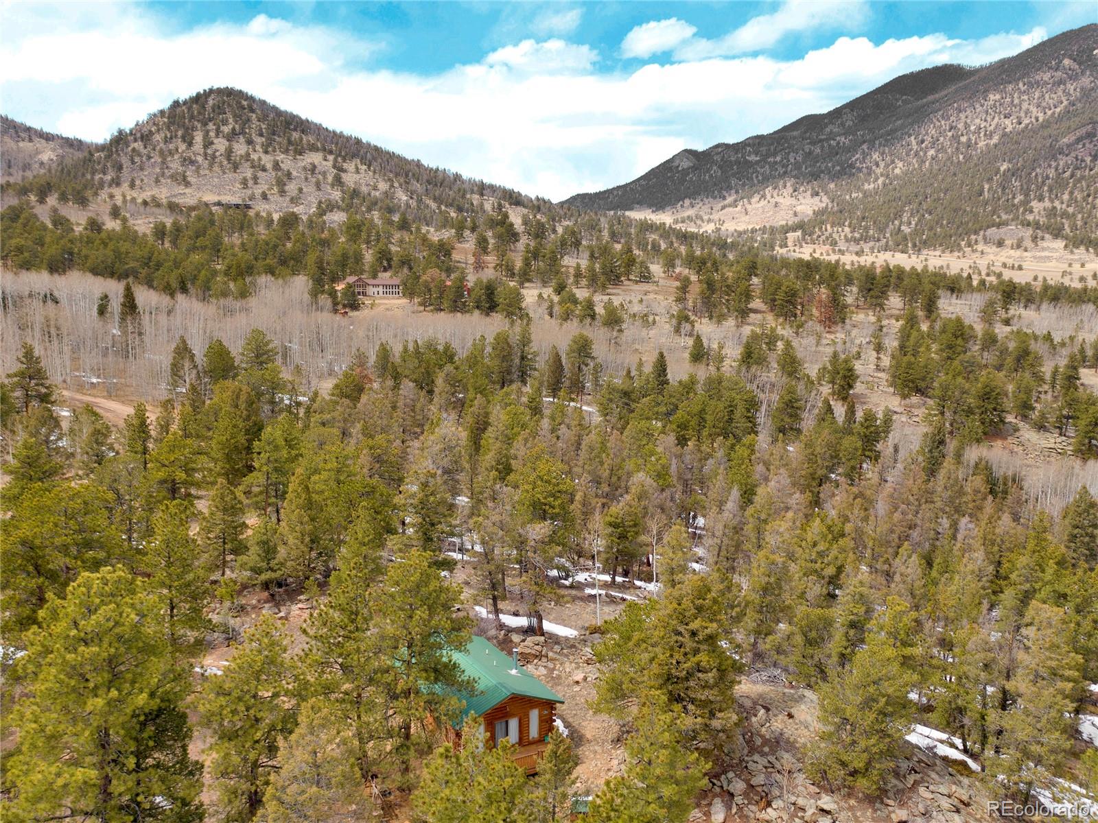 MLS Image #28 for 1462  pulver road,lake george, Colorado