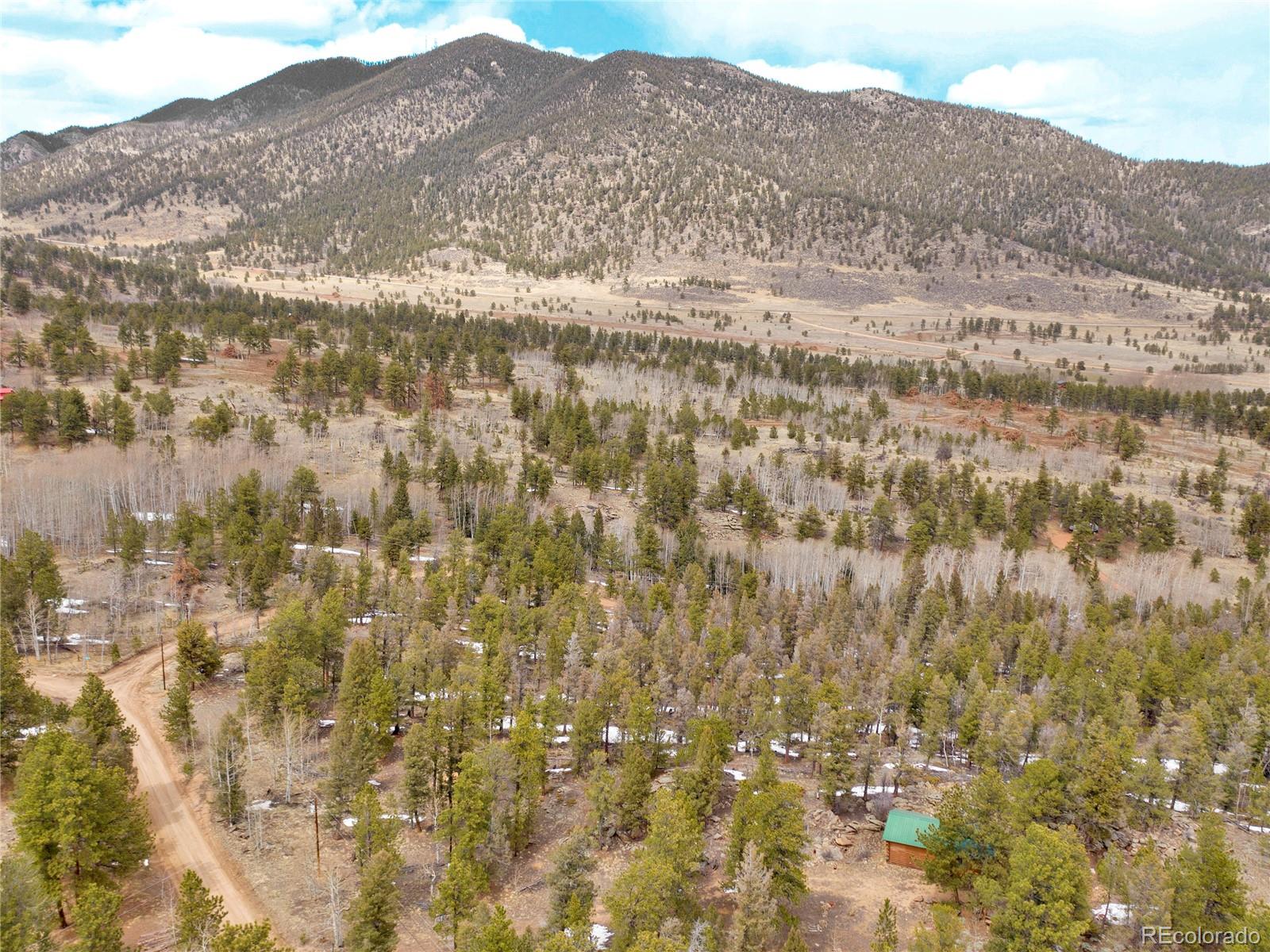 MLS Image #31 for 1462  pulver road,lake george, Colorado