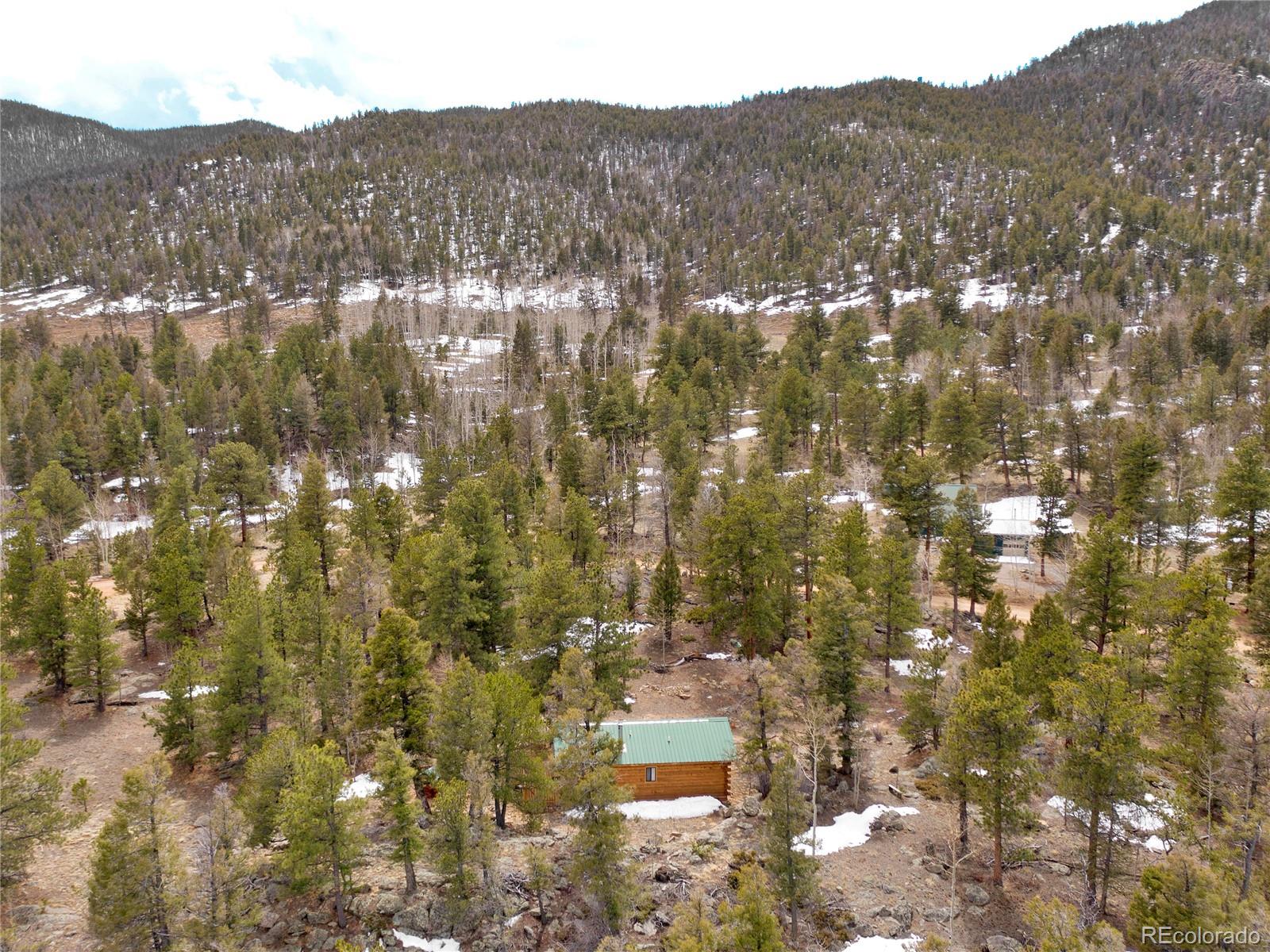 MLS Image #32 for 1462  pulver road,lake george, Colorado