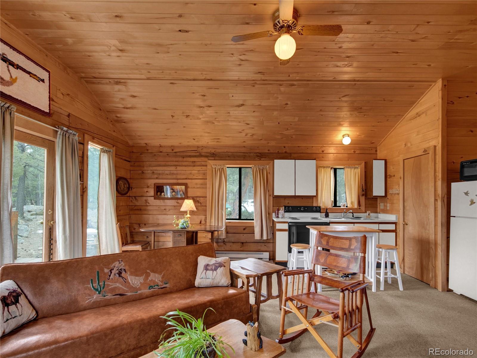 MLS Image #7 for 1462  pulver road,lake george, Colorado