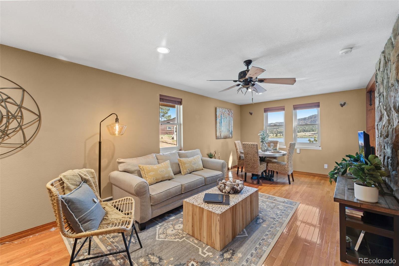 MLS Image #12 for 671  midland court,lake george, Colorado