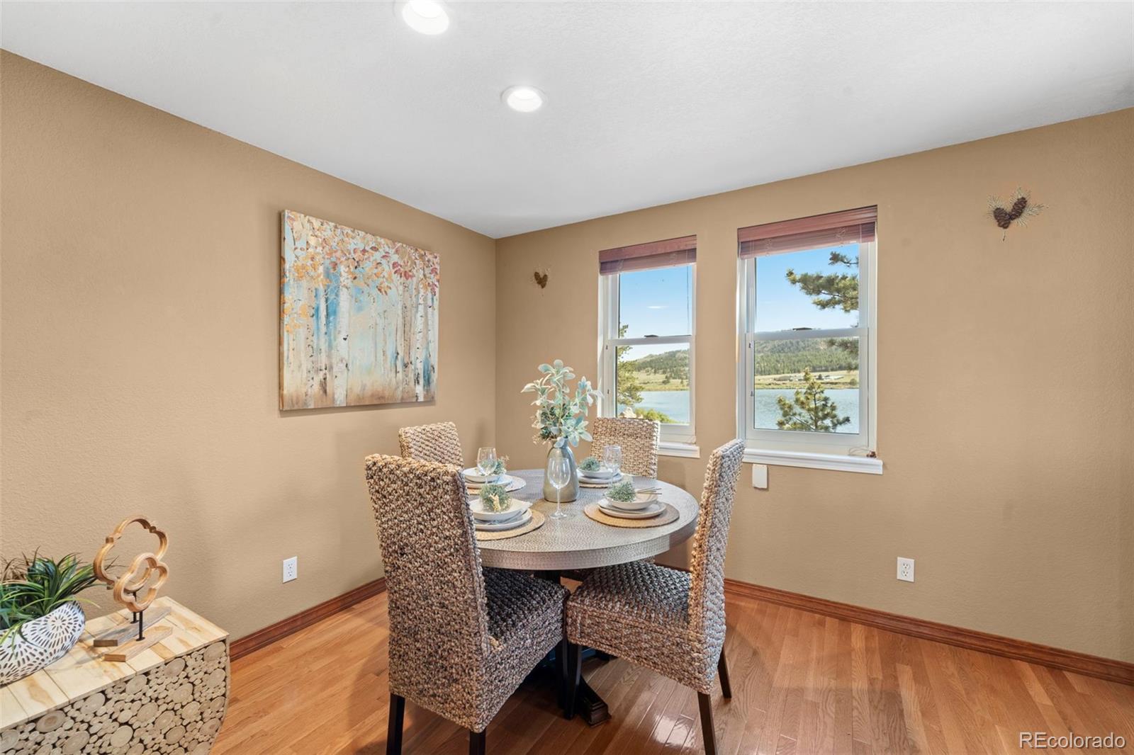 MLS Image #9 for 671  midland court,lake george, Colorado