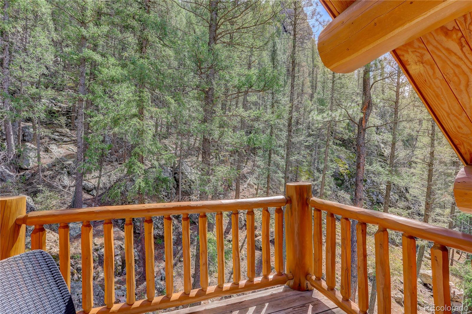 MLS Image #29 for 14662 s elk creek road,pine, Colorado