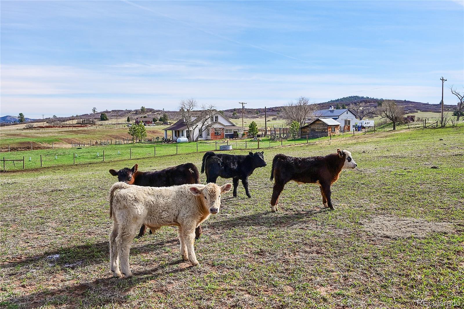 MLS Image #30 for    ,, Colorado