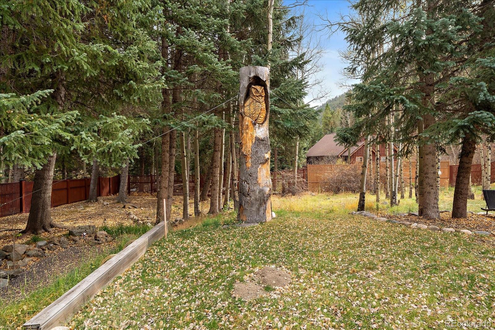 MLS Image #38 for 2971  fall river road,idaho springs, Colorado