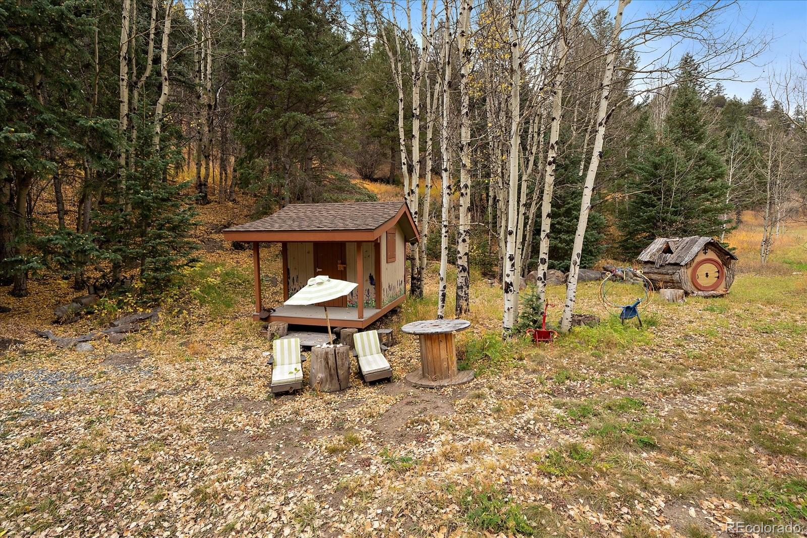 MLS Image #42 for 2971  fall river road,idaho springs, Colorado