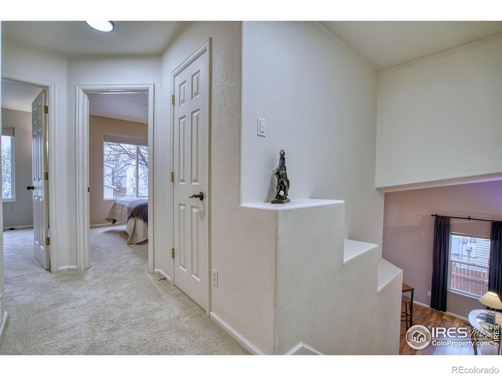 MLS Image #18 for 1276  red mountain drive,longmont, Colorado