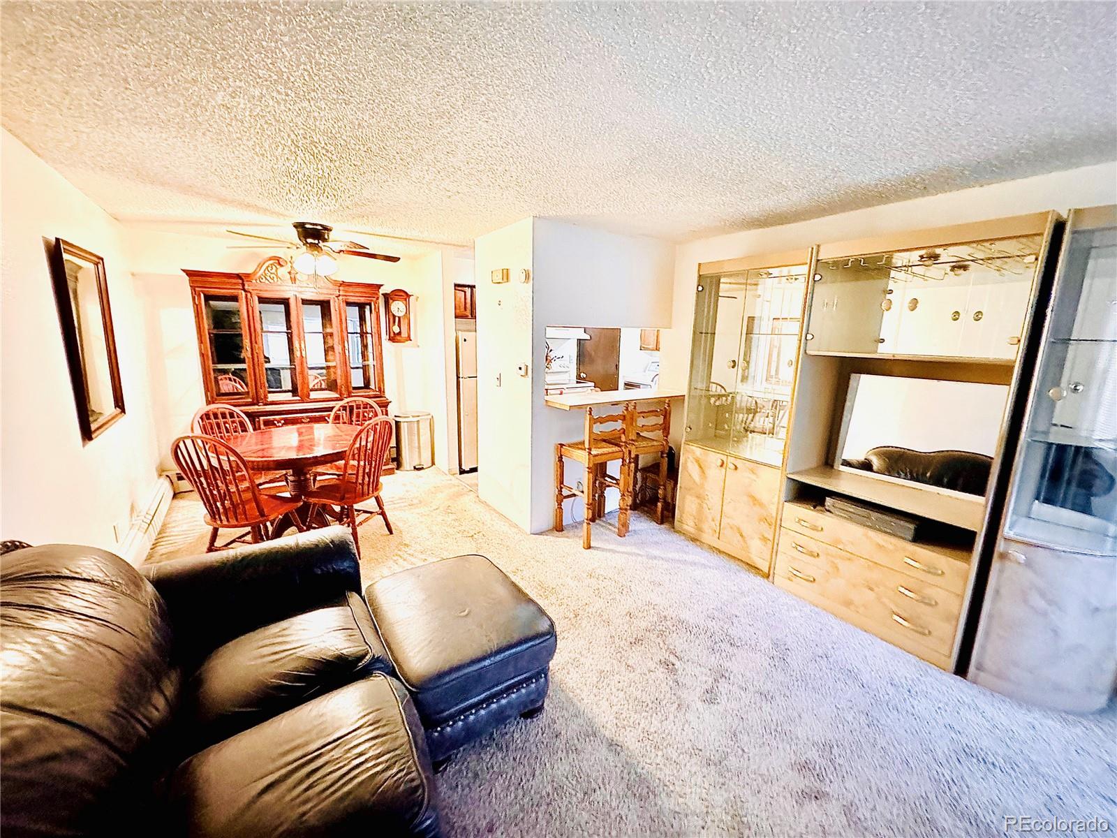 MLS Image #4 for 61  newark street,aurora, Colorado