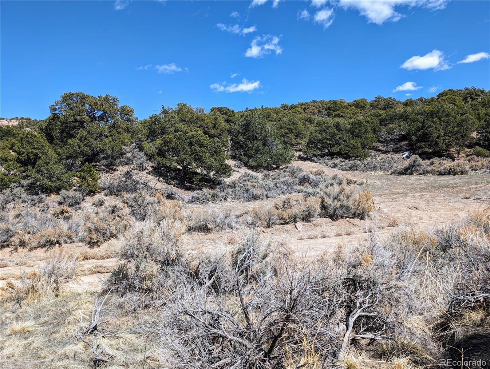 MLS Image #12 for lot 2151  acapulco road,fort garland, Colorado