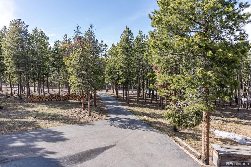 MLS Image #40 for 31575  griffin drive,conifer, Colorado