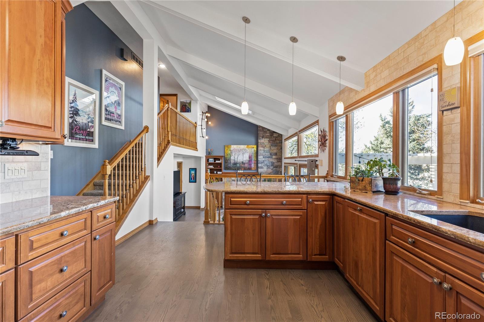 MLS Image #10 for 6081 s forest court,centennial, Colorado