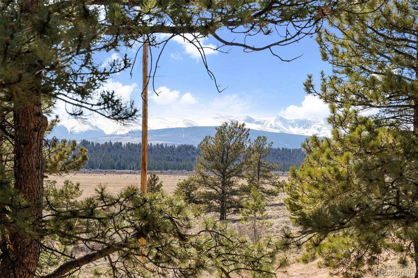 MLS Image #42 for 96  county road 7 ,fairplay, Colorado