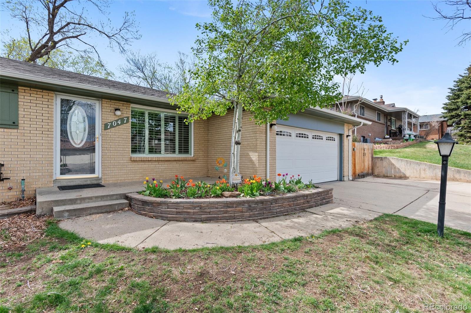 MLS Image #4 for 7047  reed street,arvada, Colorado