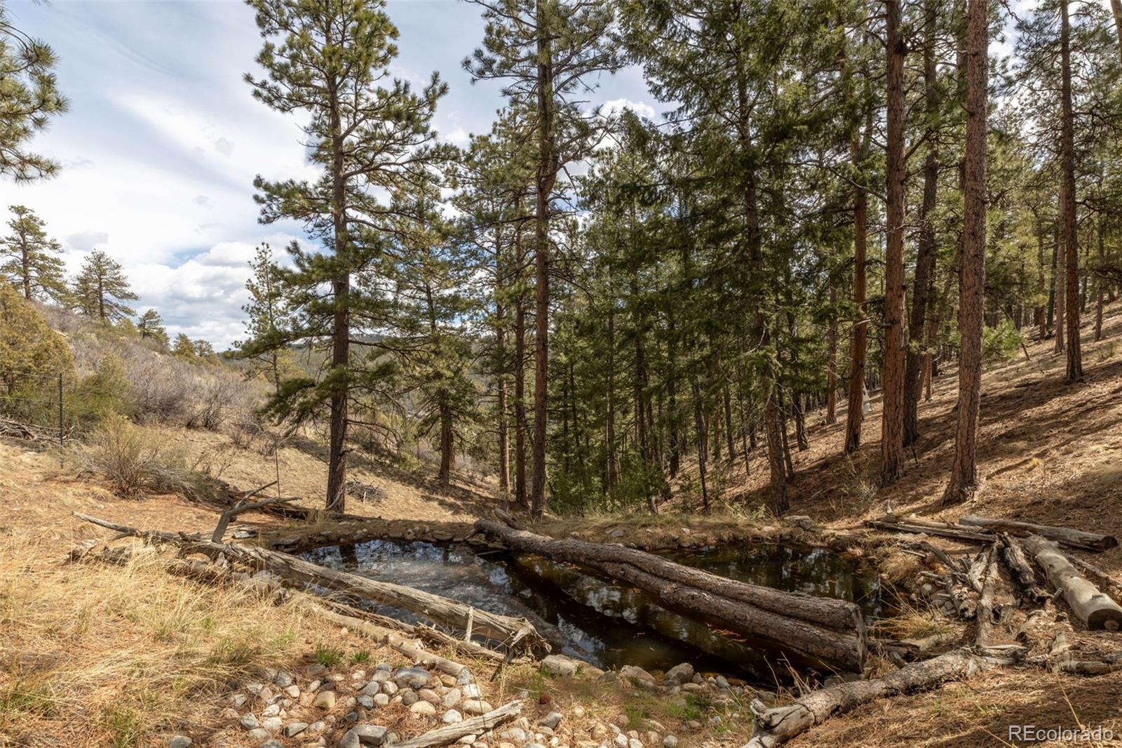 MLS Image #35 for 30755  half peak trail ,pine, Colorado