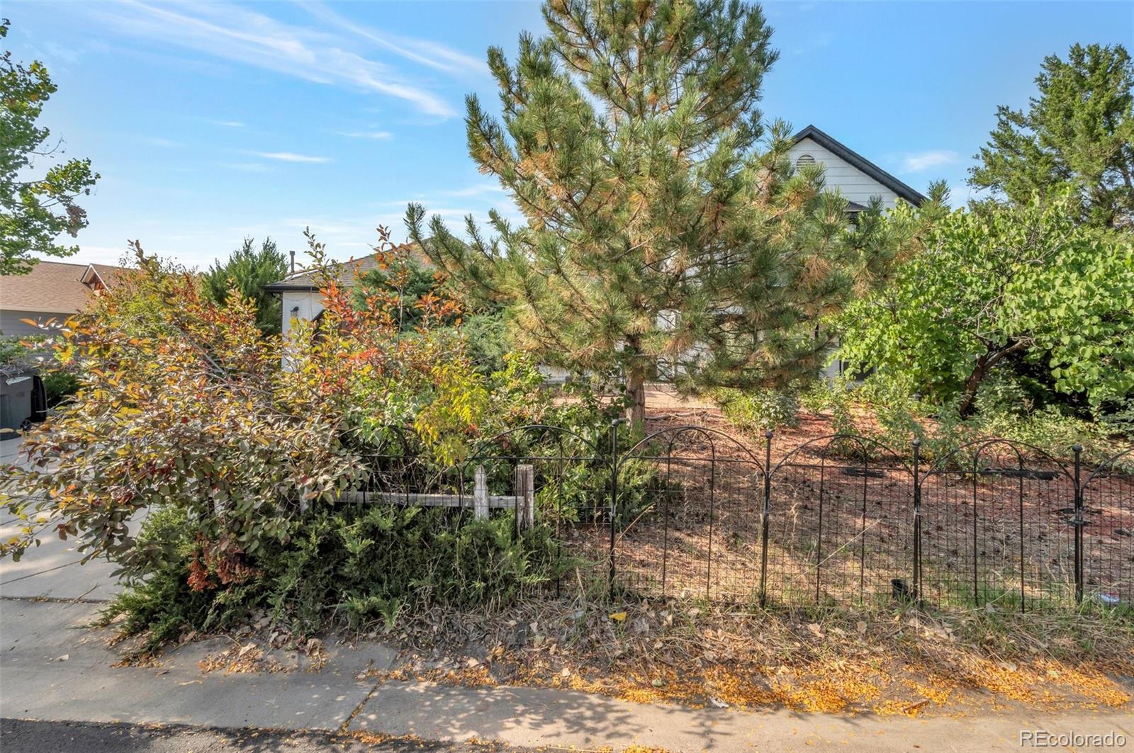 MLS Image #14 for 8465  wheatgrass circle,parker, Colorado