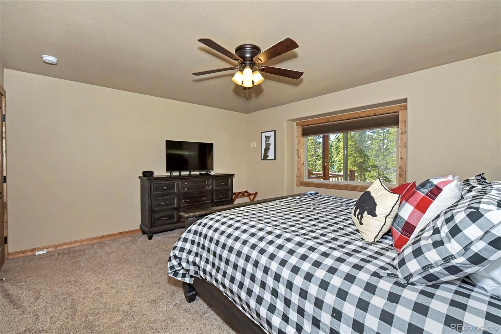 MLS Image #23 for 1517  mountain view drive,fairplay, Colorado
