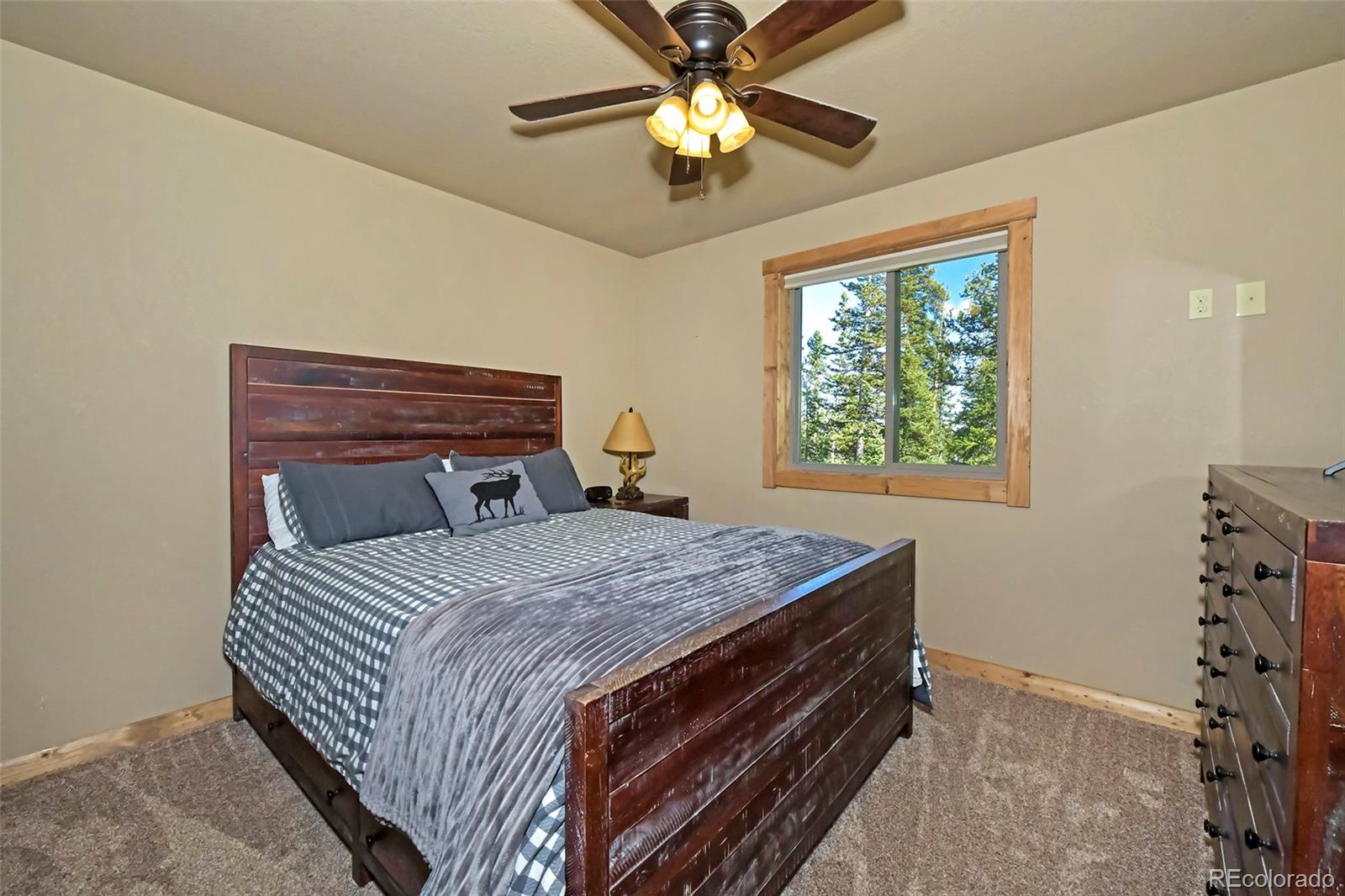 MLS Image #27 for 1517  mountain view drive,fairplay, Colorado