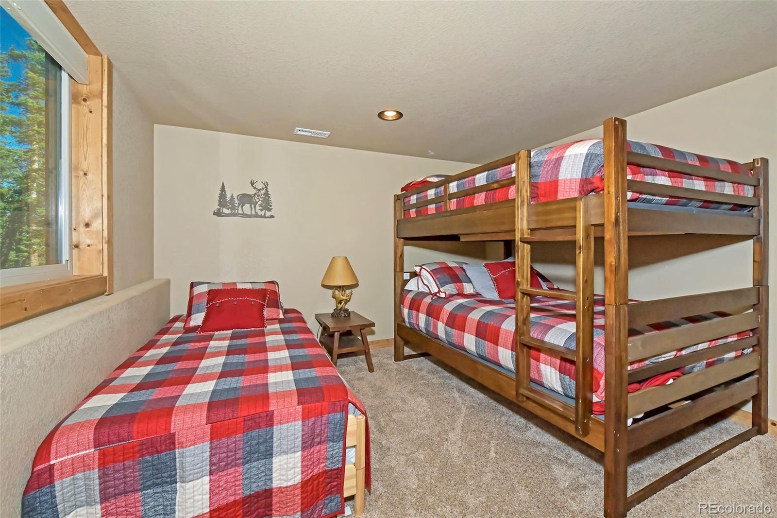 MLS Image #30 for 1517  mountain view drive,fairplay, Colorado