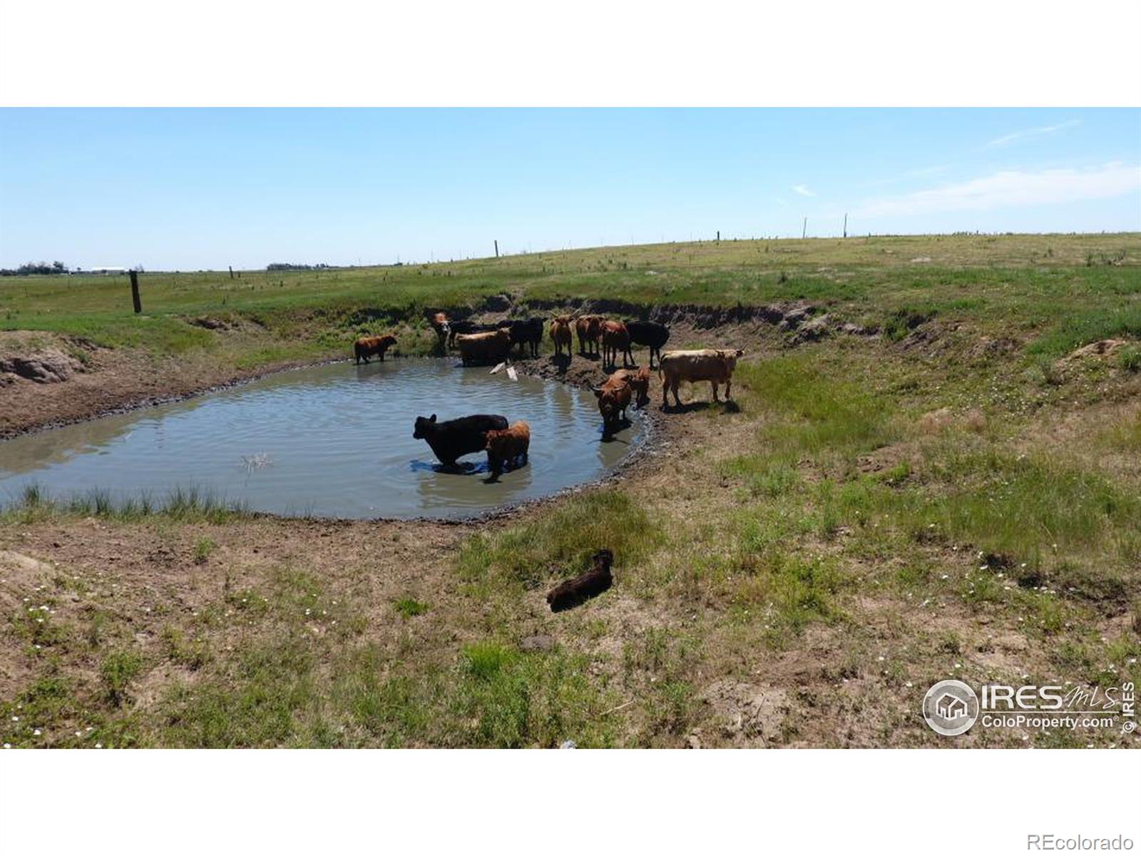 MLS Image #29 for 17754  county road jj ,fort morgan, Colorado