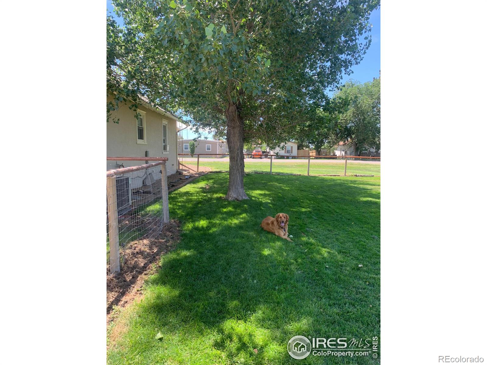 MLS Image #25 for 529  north street,peetz, Colorado