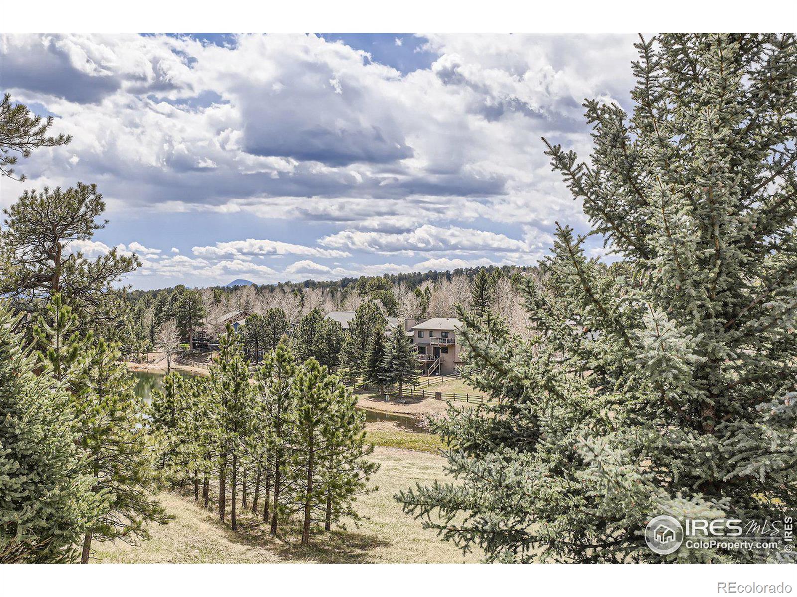 MLS Image #18 for 31597  broadmoor drive,evergreen, Colorado