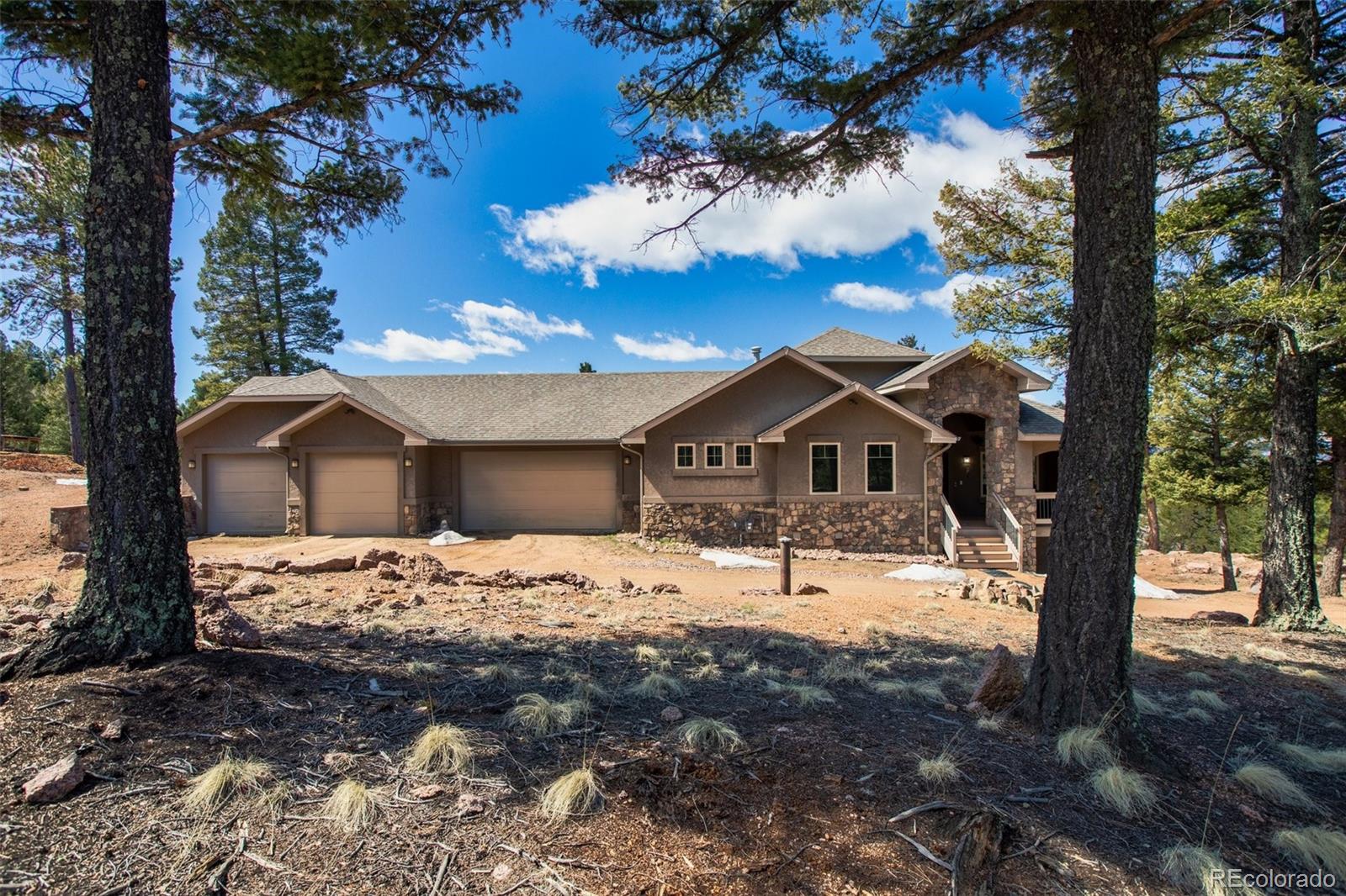 MLS Image #2 for 2638 n mountain estates road,florissant, Colorado