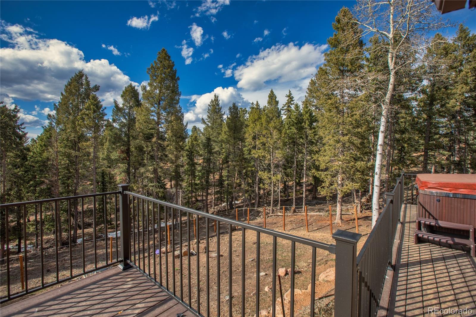 MLS Image #3 for 342  blue mesa drive,divide, Colorado