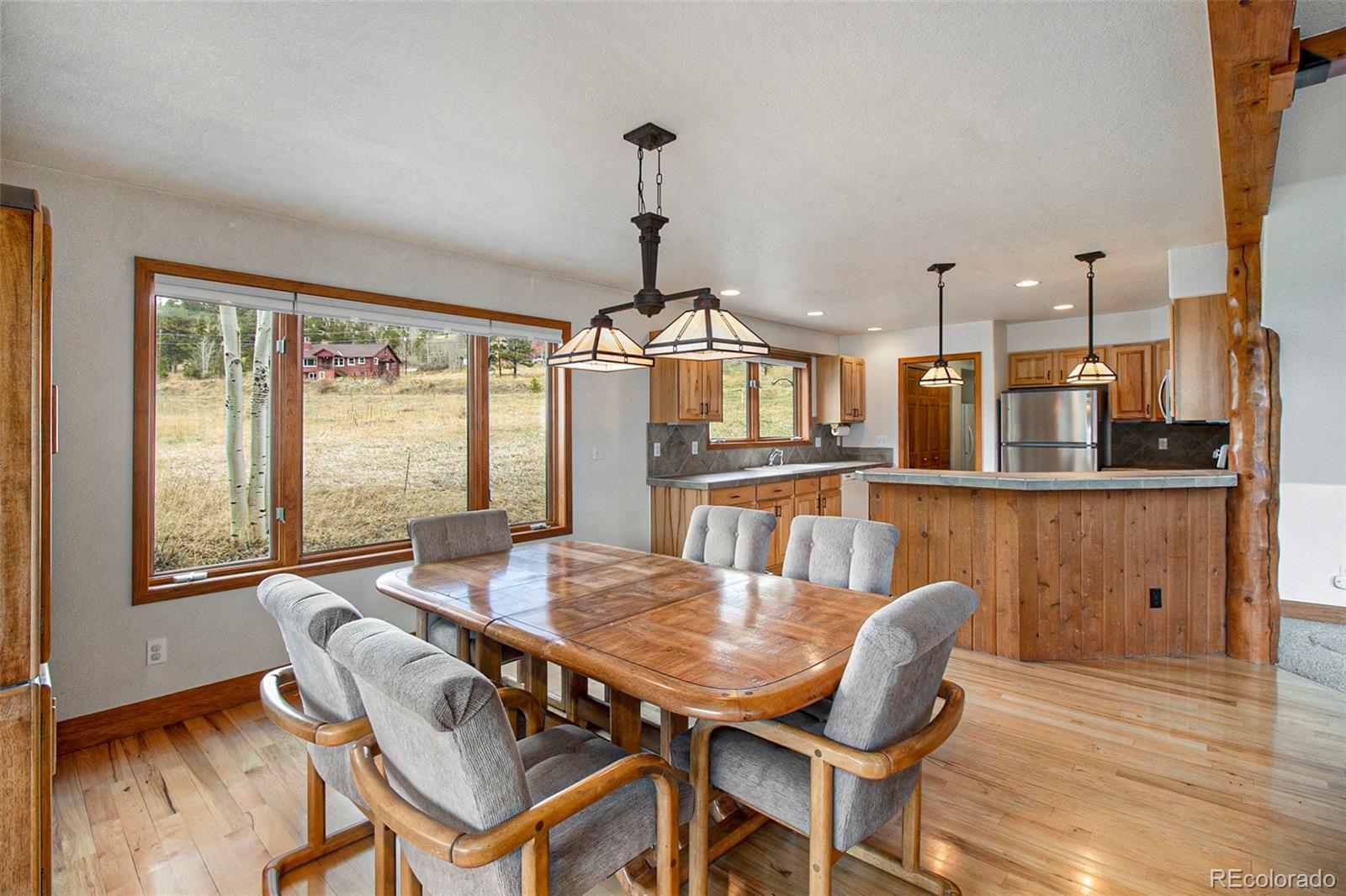MLS Image #10 for 43  forest ridge circle,bailey, Colorado