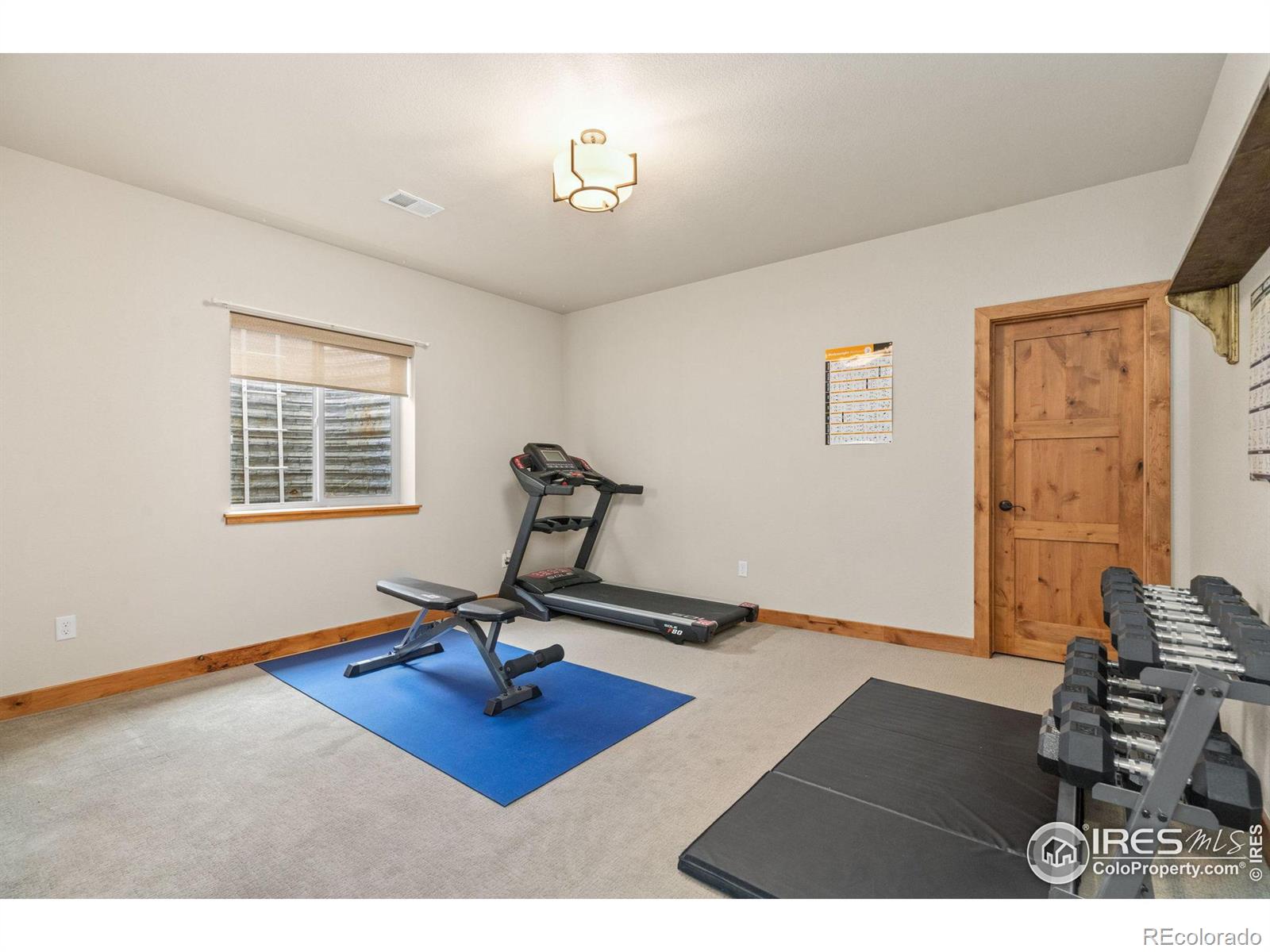 MLS Image #26 for 6940  summerwind court,timnath, Colorado