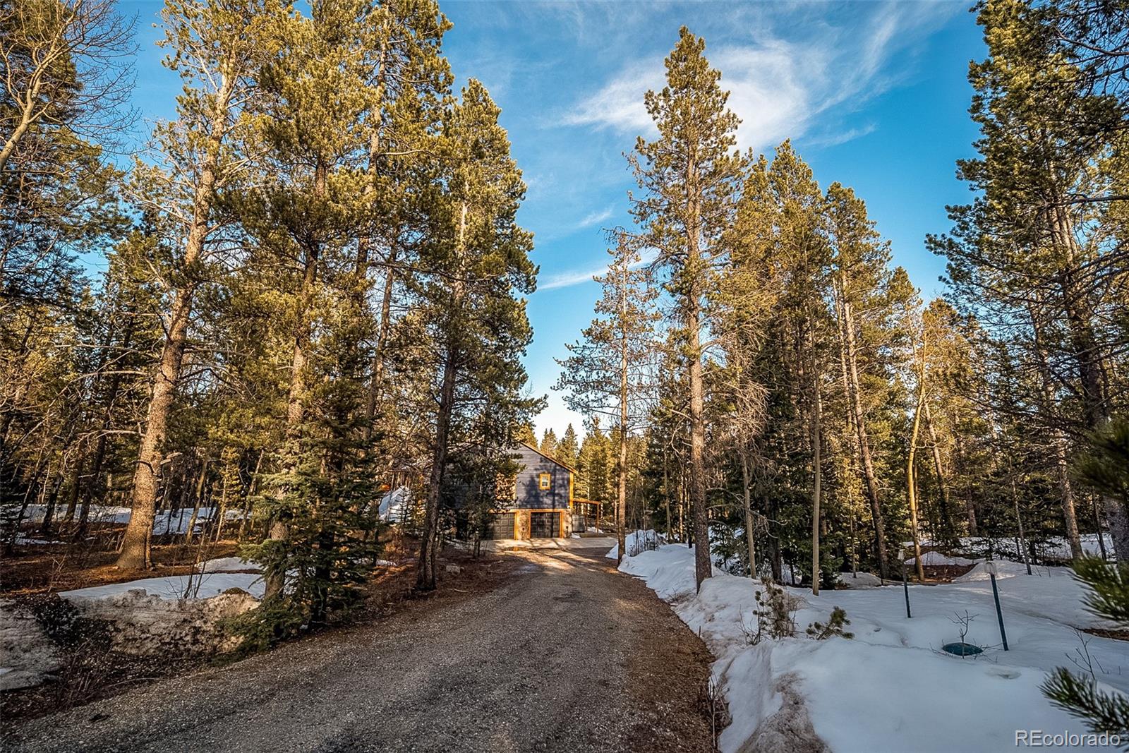 MLS Image #10 for 36  isabelle court,fairplay, Colorado