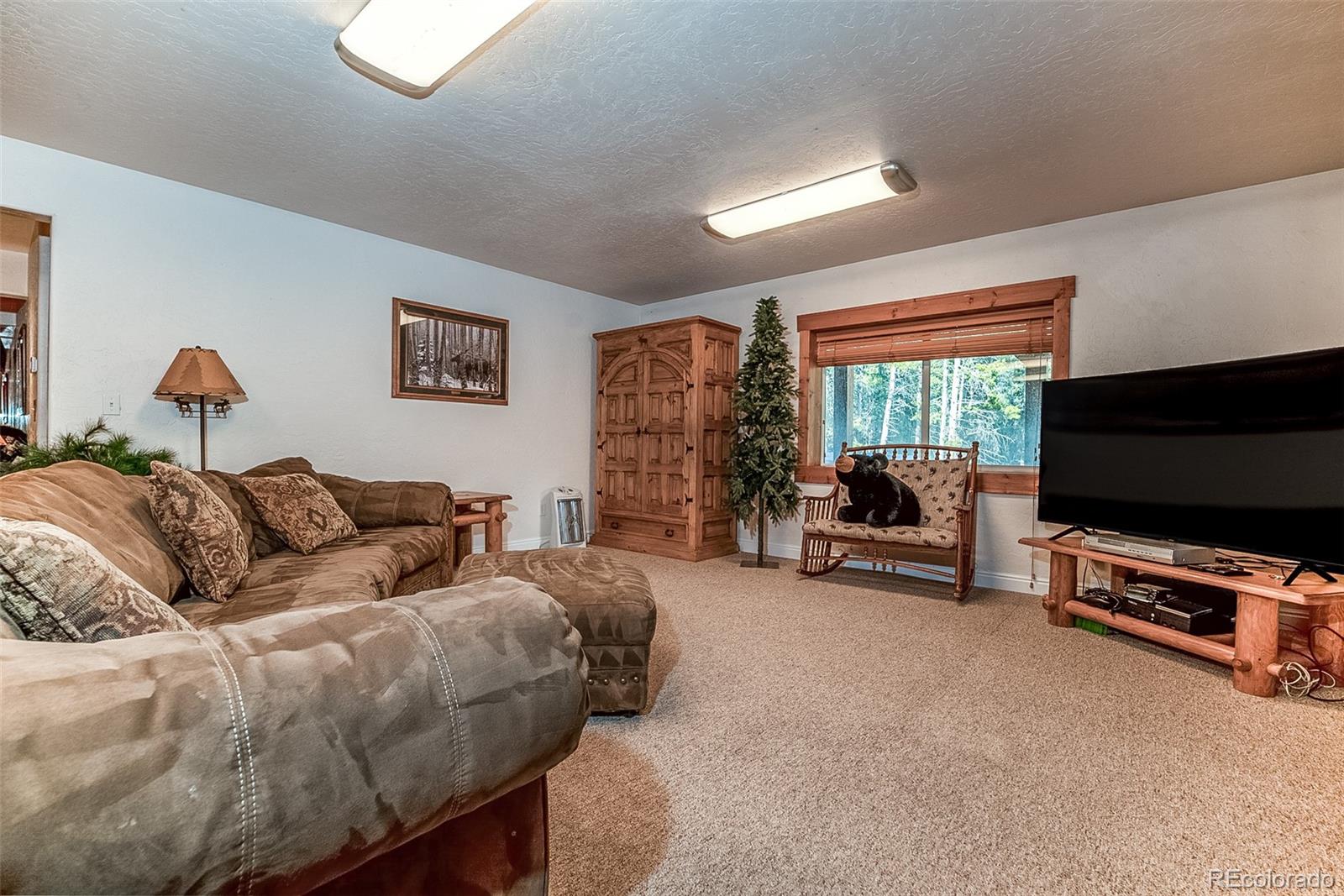 MLS Image #2 for 36  isabelle court,fairplay, Colorado