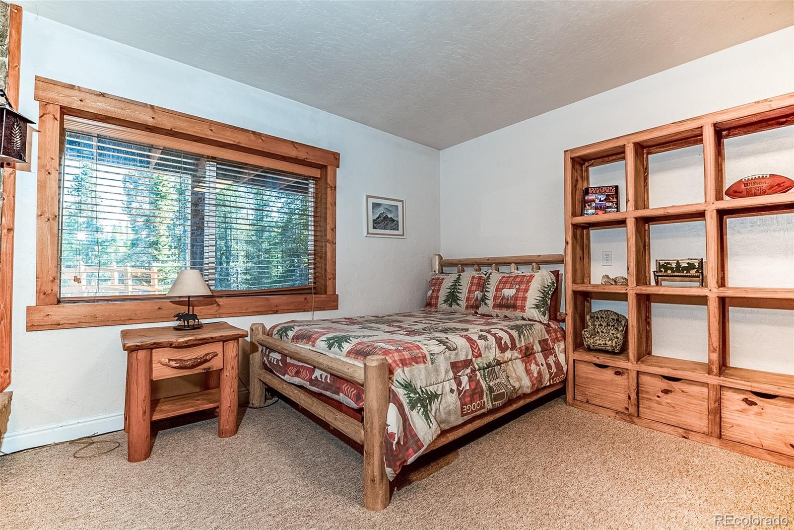 MLS Image #28 for 36  isabelle court,fairplay, Colorado