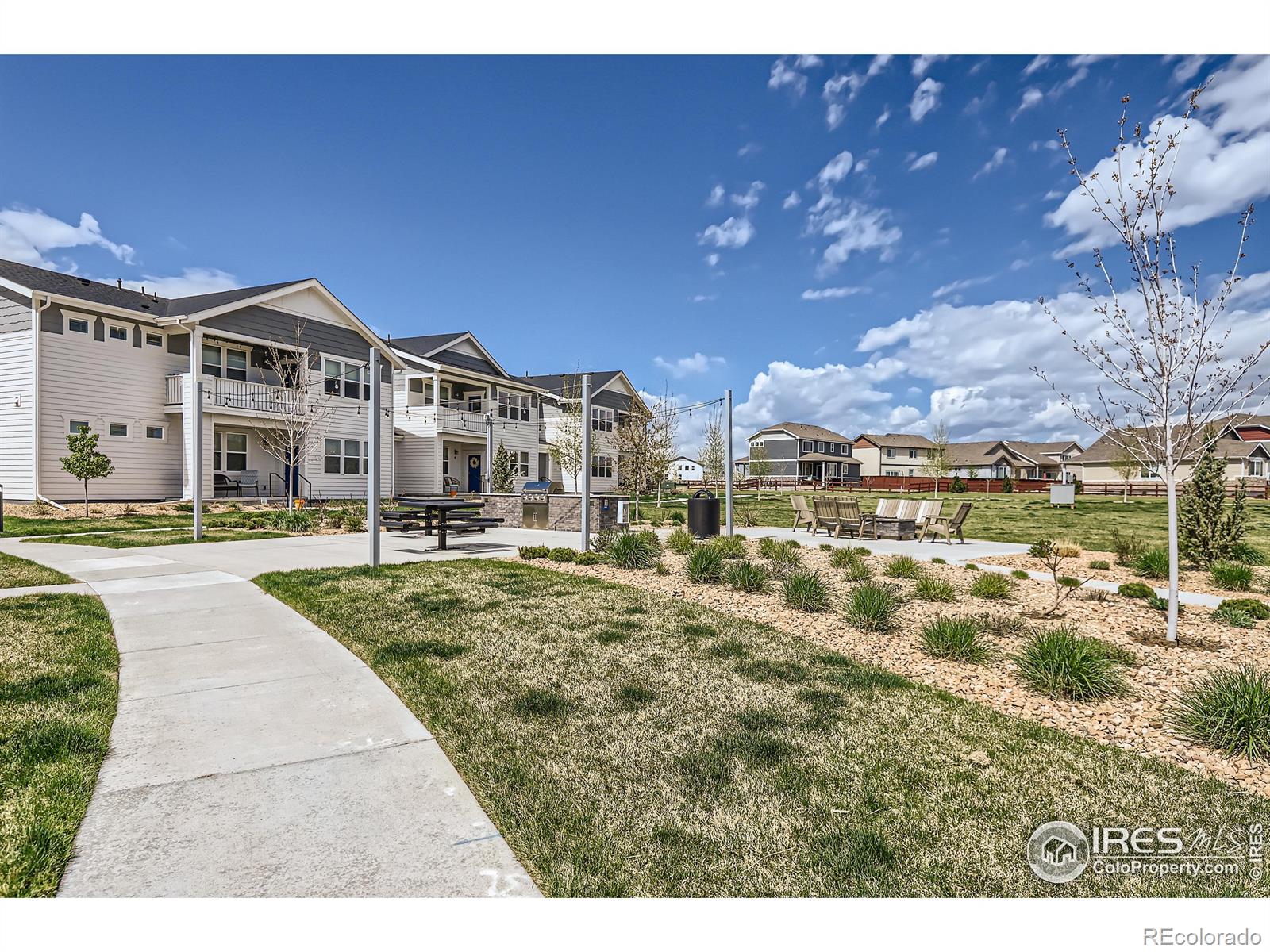 MLS Image #19 for 2078  autumn moon drive,windsor, Colorado