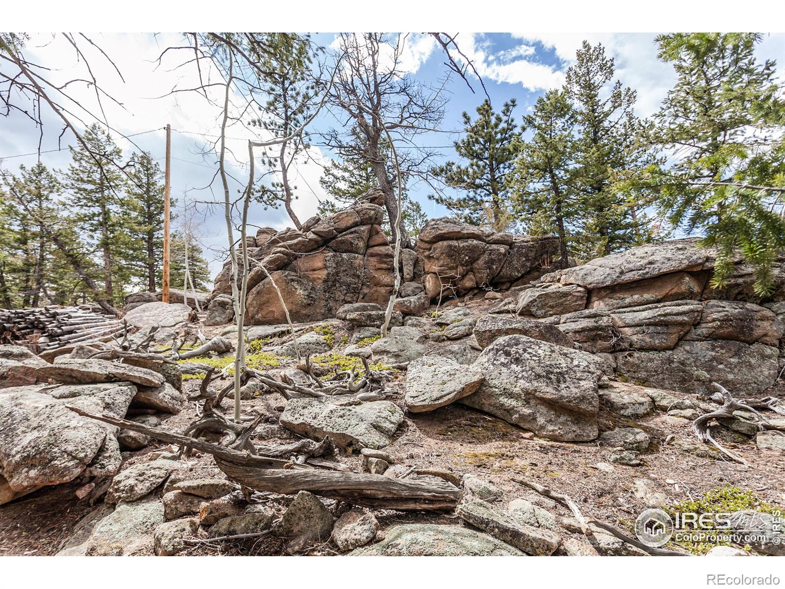 MLS Image #24 for 41  totem pole lane,red feather lakes, Colorado