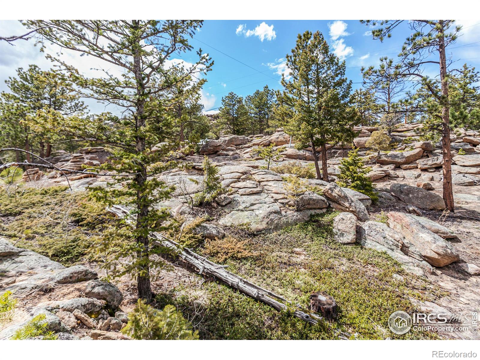 MLS Image #25 for 41  totem pole lane,red feather lakes, Colorado