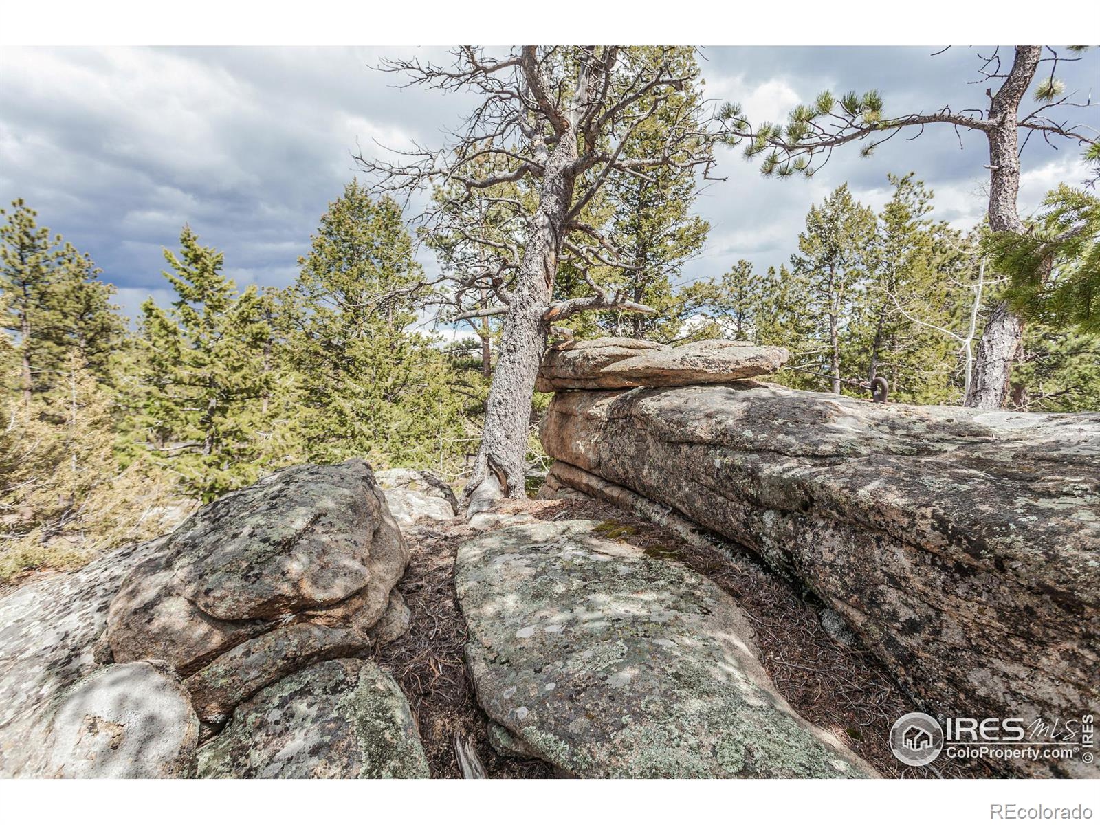 MLS Image #26 for 41  totem pole lane,red feather lakes, Colorado