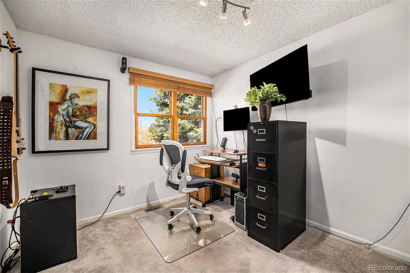 MLS Image #27 for 13144 w 85th place,arvada, Colorado