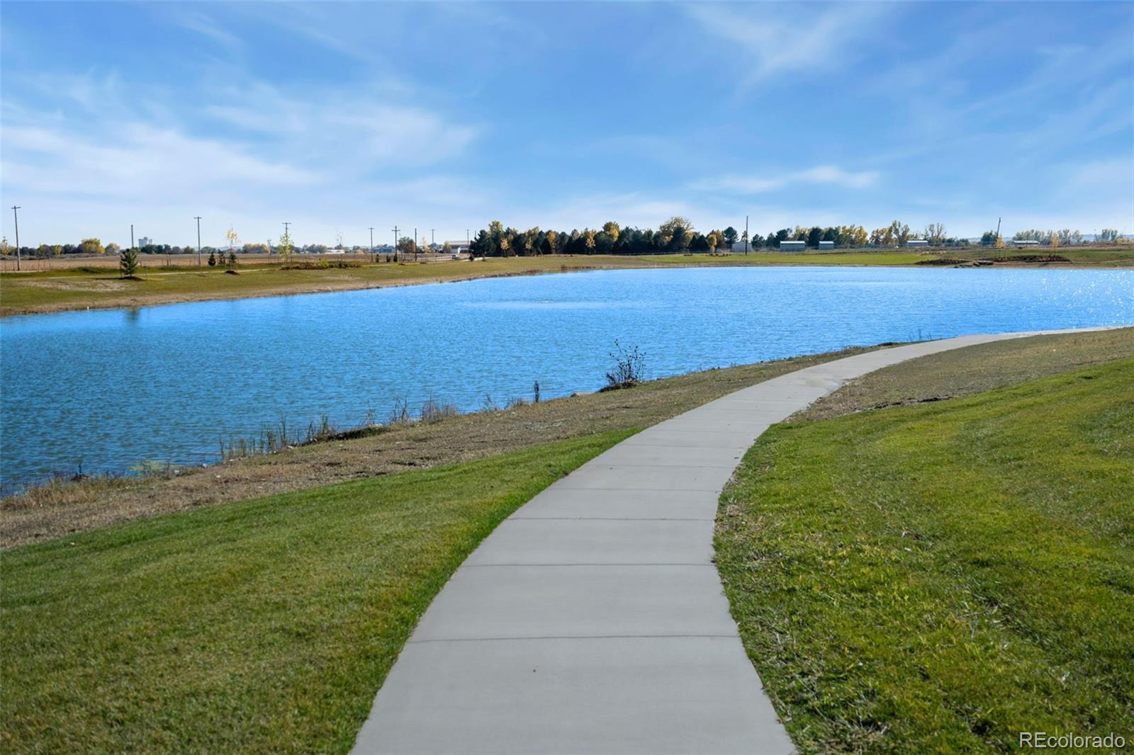 MLS Image #39 for 951  warbling drive,windsor, Colorado